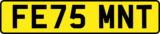 FE75MNT