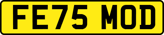FE75MOD