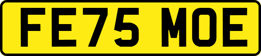 FE75MOE