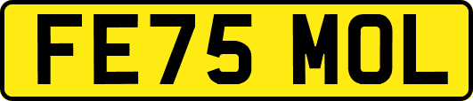 FE75MOL