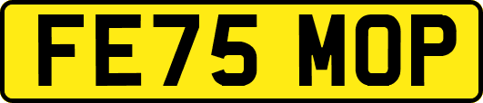 FE75MOP