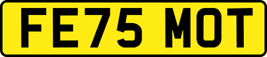 FE75MOT