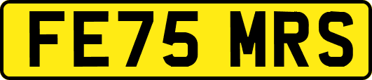 FE75MRS
