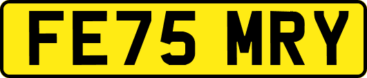 FE75MRY