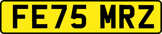 FE75MRZ