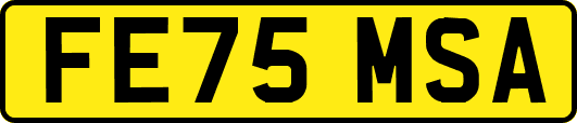 FE75MSA