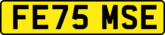 FE75MSE
