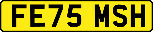 FE75MSH