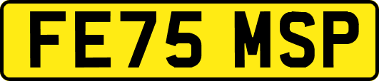 FE75MSP