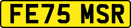 FE75MSR
