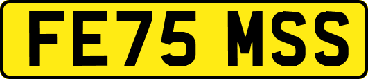 FE75MSS