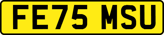 FE75MSU