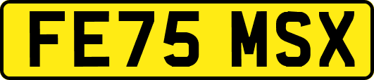 FE75MSX