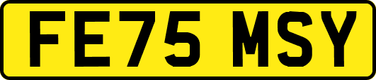 FE75MSY