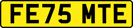 FE75MTE