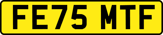 FE75MTF