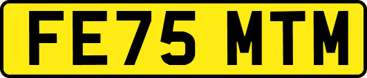 FE75MTM