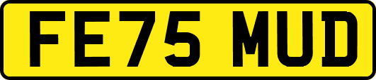 FE75MUD