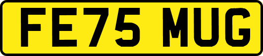 FE75MUG