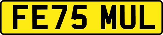 FE75MUL