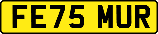 FE75MUR