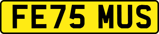 FE75MUS