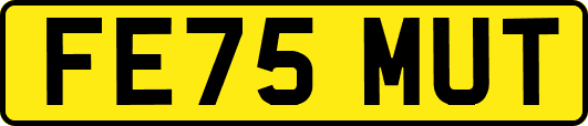 FE75MUT