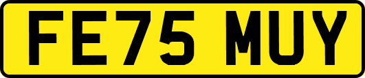 FE75MUY