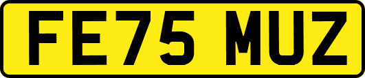 FE75MUZ