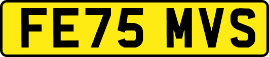 FE75MVS