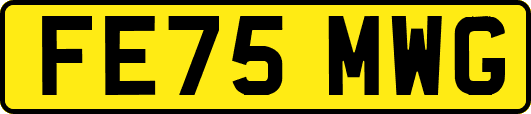 FE75MWG