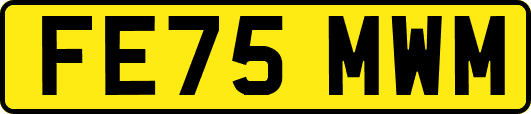 FE75MWM