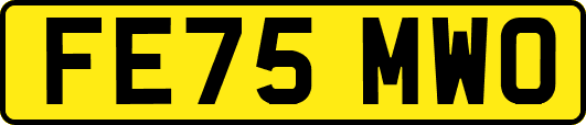 FE75MWO