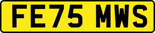 FE75MWS