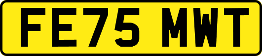 FE75MWT