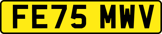 FE75MWV