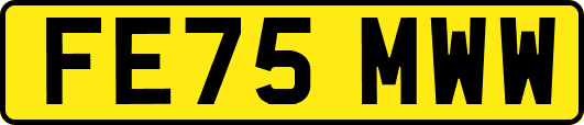 FE75MWW