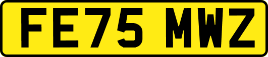 FE75MWZ