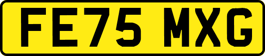 FE75MXG
