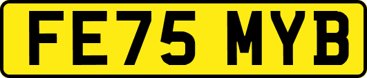 FE75MYB
