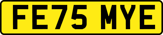 FE75MYE