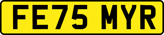 FE75MYR