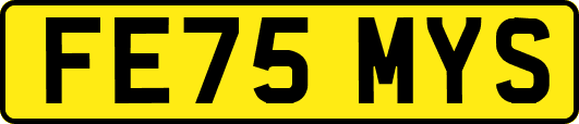 FE75MYS