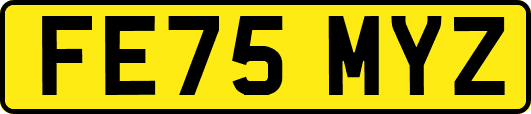 FE75MYZ
