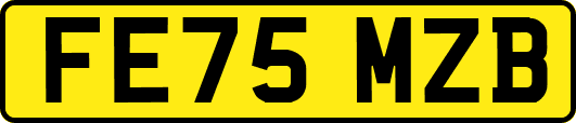 FE75MZB