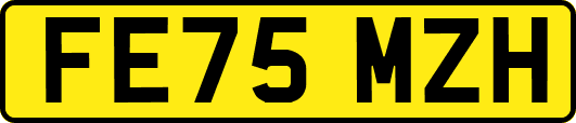 FE75MZH