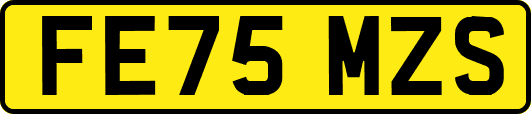 FE75MZS