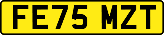 FE75MZT