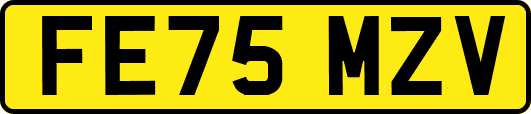 FE75MZV