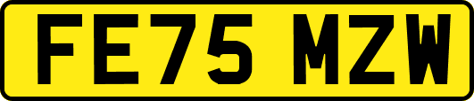 FE75MZW